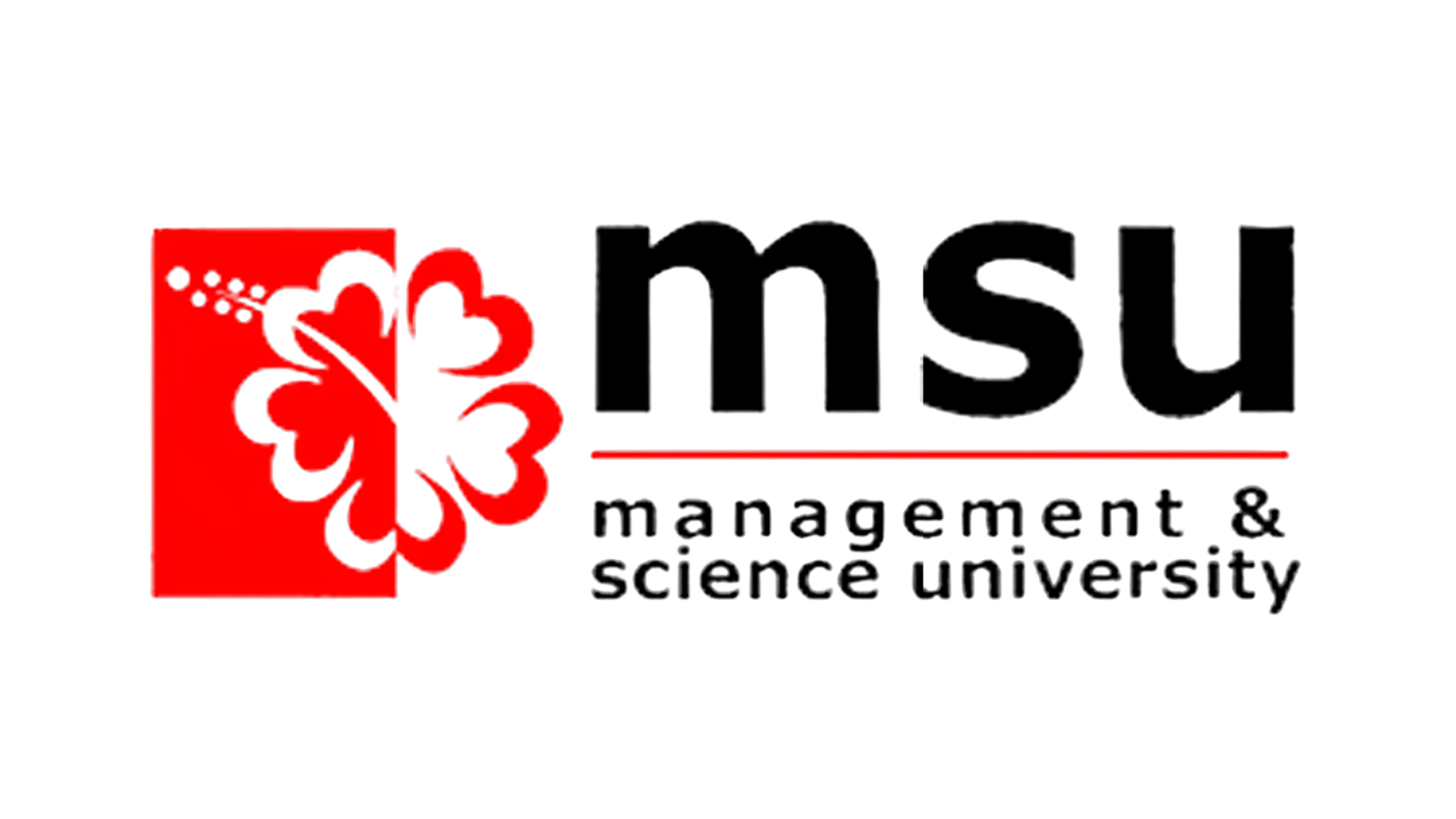 msu